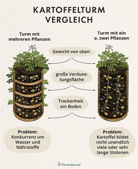 laubkartoffeln|Kartoffelturm